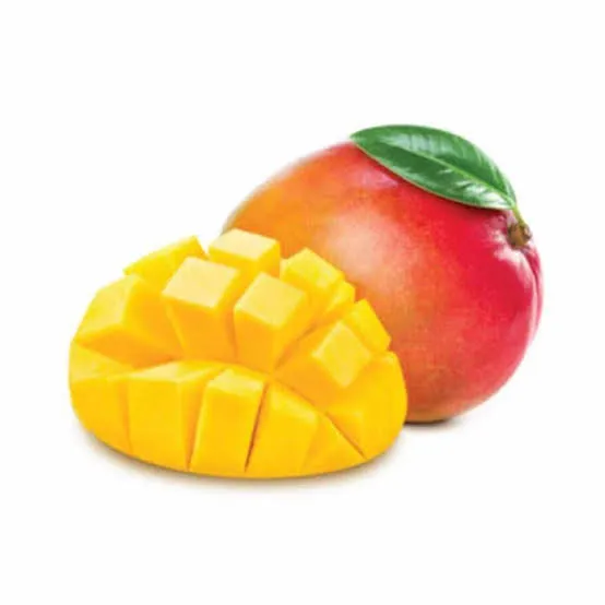 [Elenka-1187] Mango Conca D'oro 500 KG.1.5*