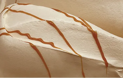 [Elenka-1211] Caramel Quick 1.5kg
