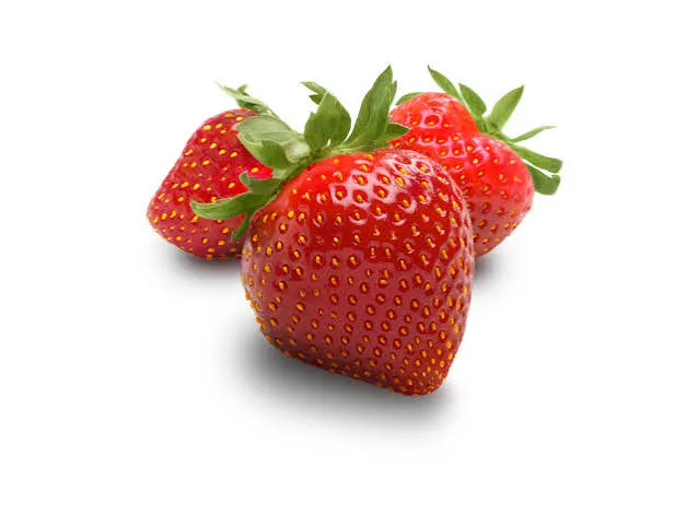 [Elenka-162] Fragola Conca D'oro 500 KG1.5*